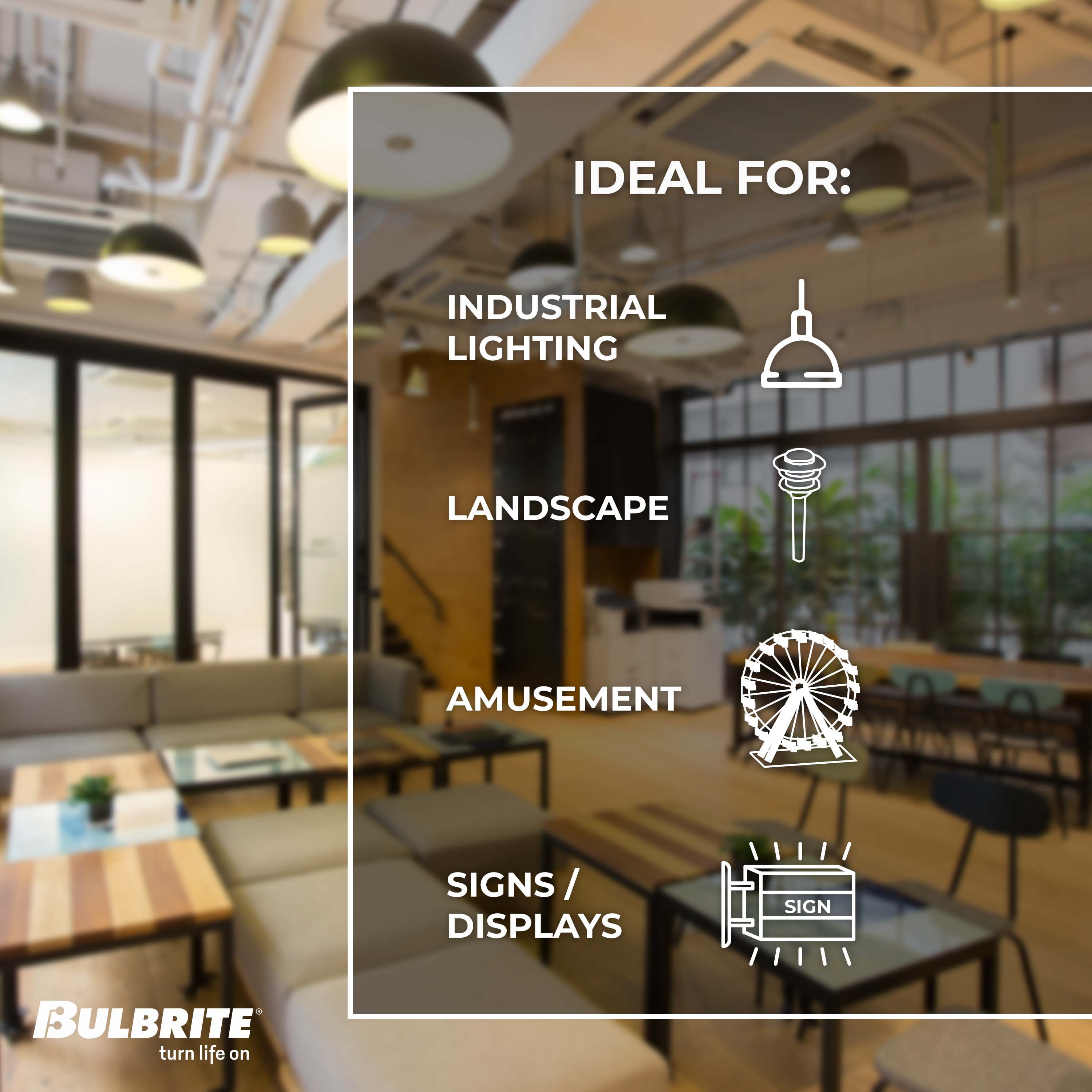 Bulbrite Pack of (8) 7 Watt Dimmable Clear Filament ST18 Medium (E26) LED Light Bulb - 800 Lumens, 4000K