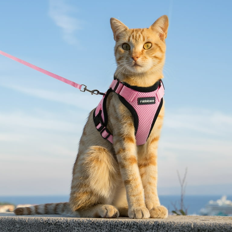 Found My Animal　Dog&Cat　ハーネス　CATSKILL　XS Harnesses – Found My Animal