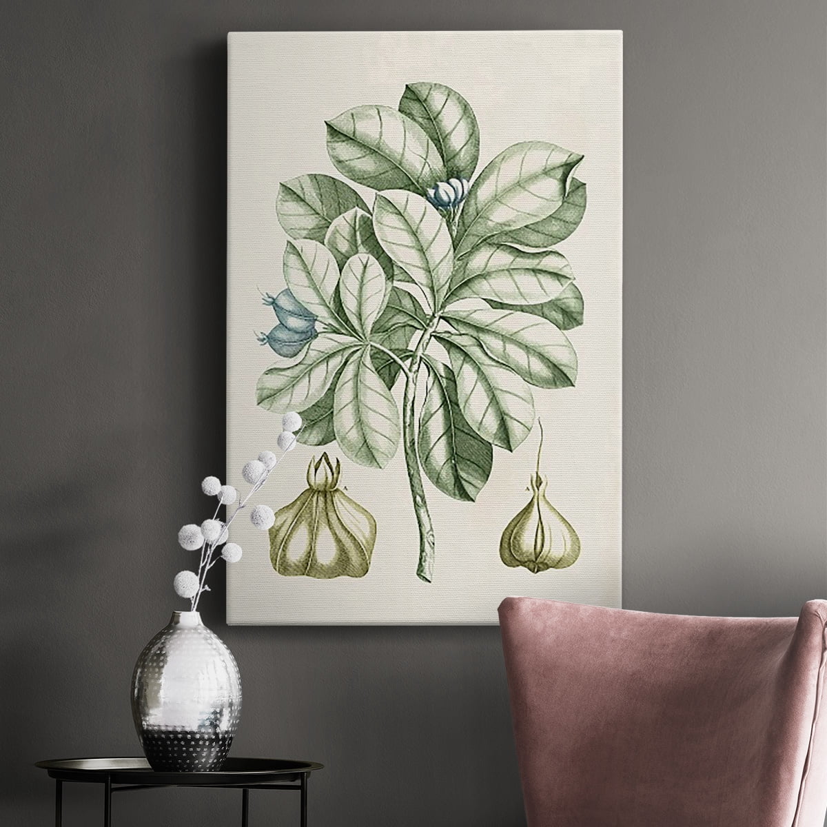 Buchoz Tropicals IX Premium Gallery Wrapped Canvas - Ready to Hang