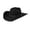Black, variant on Stetson Men's 4X Powder River Felt Pinch Front Cowboy Hat Black, 7 1/4