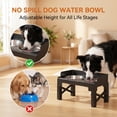 thumbnail image 2 of Kawiwi Elevated Dog Bowls,No Spill Edge, Foldable, 2 Stainless Steel Bowls & Slow Feeder Dog Food, 5 Adjustable Heights 3.15"-12.2" ,  for Small Medium Large Dog, 2 of 7