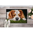 thumbnail image 2 of Carolines Treasures AMB1395JMAT Cavalier Spaniel Tapis Intérieur Ou Extérieur - 24 x 36, 2 of 4