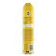 thumbnail image 2 of Limpiador Pulimentos Pledge Potpurri Acero Inoxidable Aerosol 378 ml, 2 of 2