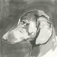 thumbnail image 3 of Cartissi 20x20 Black Modern Framed Museum Art Print Titled - A Very Neutral Modern Dog II, 3 of 5