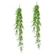 thumbnail image 3 of GOOHOCHY 2 unids artificial eucalipto guirnaldas plástico colgando viñas decorativas guirnaldas verde, 3 of 7