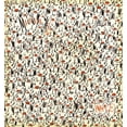 thumbnail image 1 of MACANUDO 6 SEXTO PISO LINIERS, 1 of 1