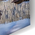 thumbnail image 3 of Epic Art 'Bear Lake Holiday - Rocky Mountain National Park' by Darren White, Acrylic Glass Wall Art, 24"x16", 3 of 8
