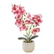 thumbnail image 1 of Película de impresión 3D, doble tenedor, phalaenopsis, bonsái, decoración del hogar, simulación de plantas en macetas, 1 of 5