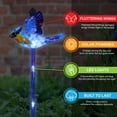thumbnail image 5 of Exhart  WindyWing Solar Powered Garden Stake Set of Cardinal, Hummingbird and Blue Bird with Colored LED Lights, 4 by 27 inch, Plastic, Multicolor, 5 of 7