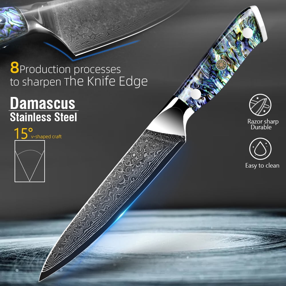 Kitchen Knife Damascus Steel Knife VG10 67 Layers Japanese Chef Knives Santoku Carving Cutting Tool Abalone Shell Handle with Sheath and Giftbox