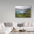 thumbnail image 3 of Trademark Fine Art 'Ring Of Kerry, Ireland 11' Canvas Art by Hall Groat Ii, 3 of 3