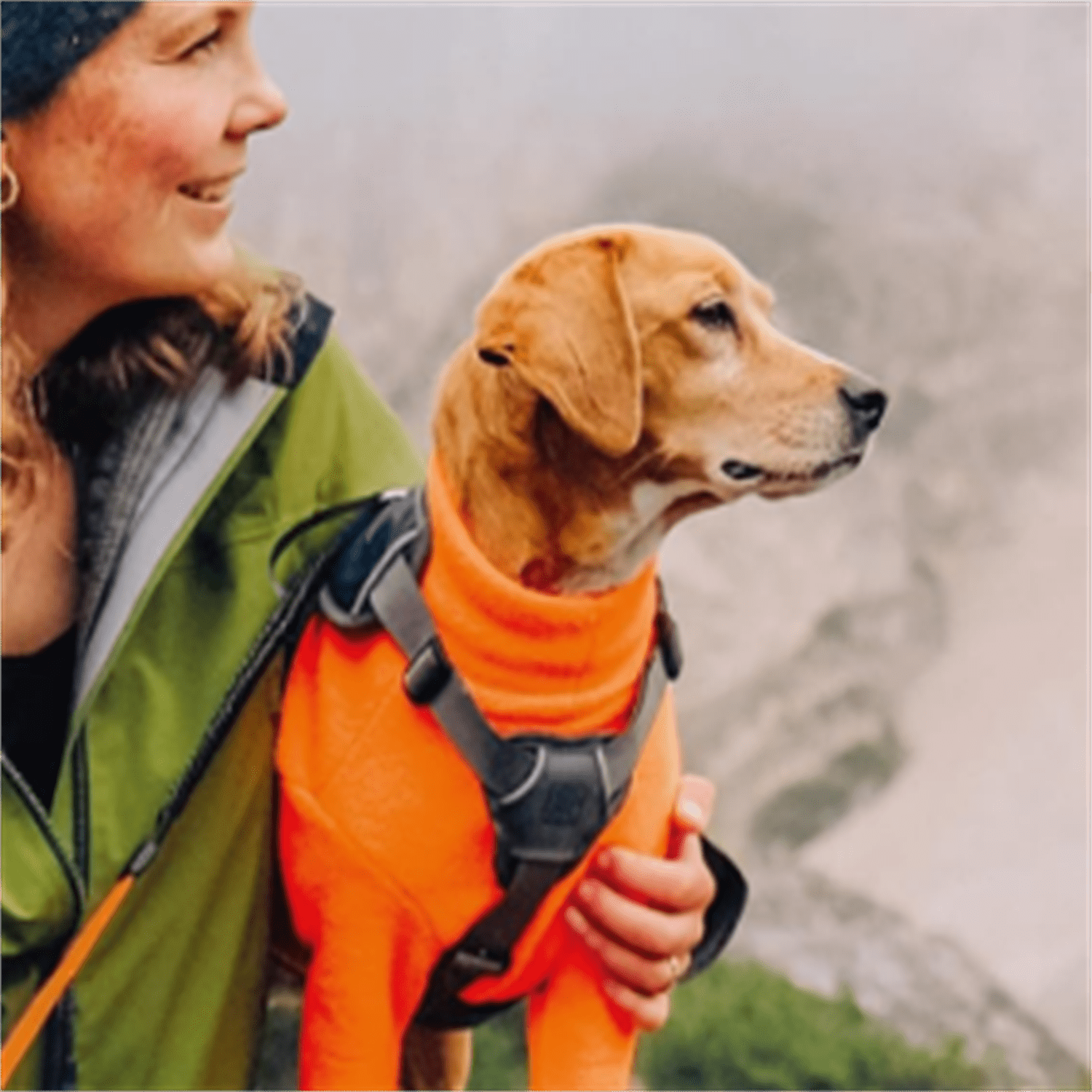 Xtreme Tape Retractable Dog Leash for Large Dogs Upto 121 lbs. – 26 ft., Orange/Black | Tangle Free Pet Walking Leash with One-Handed Brake, Pause, Lock | German Quality Product