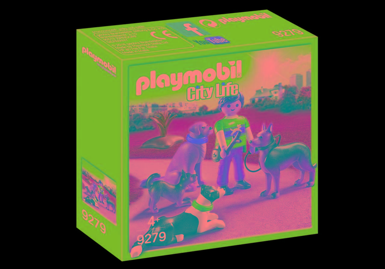 playmobil dog trainer