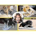 thumbnail image 3 of Dog Toy Balls For Pets Tooth Cleaning Chewing Toys Balls Of Non-toxic Soft Rubber , Large Size, 3 of 3