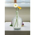 thumbnail image 5 of Serene Spaces Living 10" Clear Glass Bottle Vase -  for Coffee Table, Fireplace Mantel, Indoor Decorations, Long-Stemmed Plant Vase, Home Decor, Single, 5 of 6
