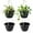 Gray-4p, variant on Hanging Planters 10 Inch, 4 Pcs Flower Pots with Drainage Hole, Self Watering Hanging Basket for Indoor Outdoor Plants, Decor, Gray