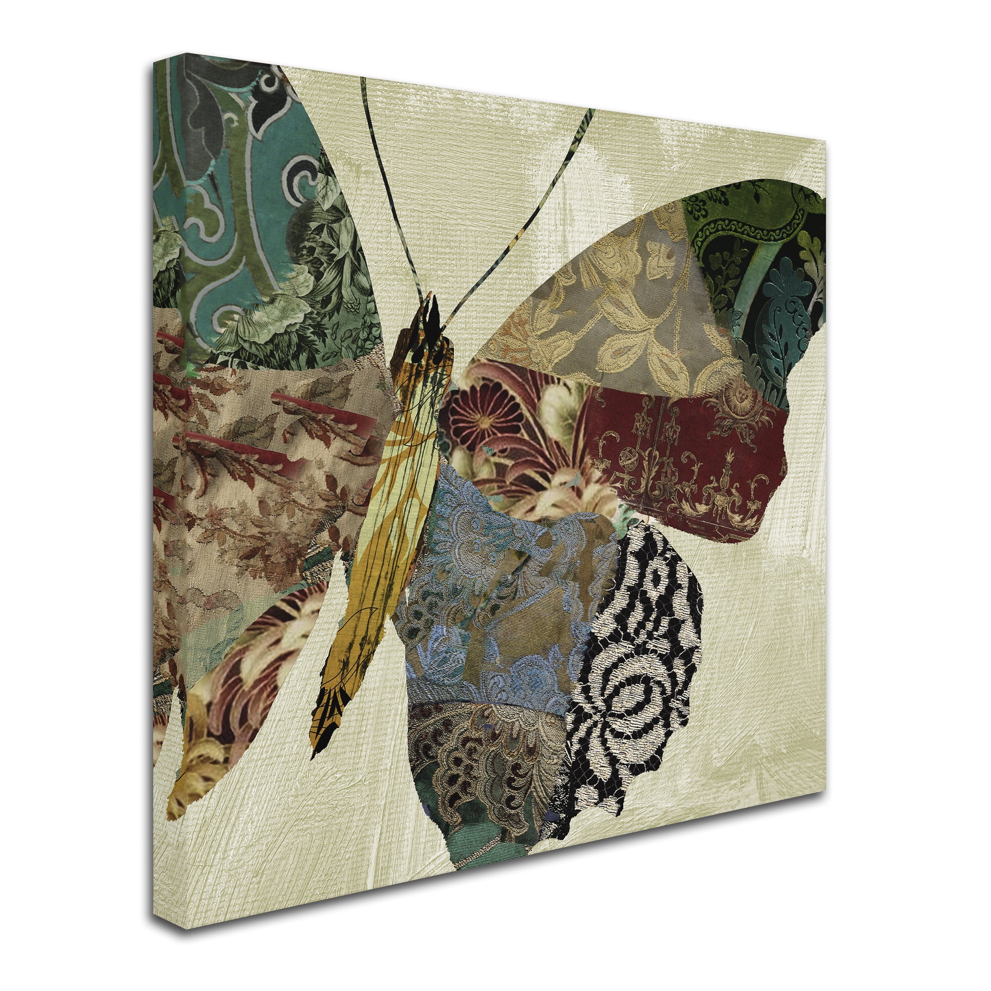 Trademark Fine Art "Butterfly Brocade II" Canvas Art by Color Bakery