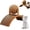Small, variant on Cat Scratching Ball on Stand, Cat Scratching Post Design with Arch Bridge and Ball for Indoor Cat Kittens Interactive Pet Toys, for Feline Entertainment & Claw Car (Small)