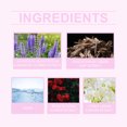 thumbnail image 4 of 50 ml De Perfume Ligero Romántico De Rosas, Perfume De Feromonas, Perfume Ligero, Spray Para Mujeres, Capullos De Rosas, 1,7 Onzas / 50 ml 1,69 Onzas / ml, 4 of 9