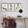 thumbnail image 2 of Stupell Industries Vintage Blue Botanical Flowers on Beige Design by Curtis, 3 Piece, 16" x 20", Black Framed, 2 of 5