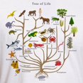 thumbnail image 3 of CafePress - Tree Of Life Fitted T Shirt - Fitted T-Shirt, Vintage Fit Soft Cotton Tee, 3 of 4