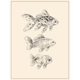 thumbnail image 3 of Wang, Melissa 15x18 Black Modern Framed Museum Art Print Titled - Goldfish I, 3 of 5