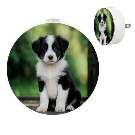 

YZUOUZY Lamp for Bedroom Lamps for Bedroom Small Bedside Lamps Set of 2 Animal Border Collie Puppy Dog