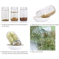 thumbnail image 2 of Paquete de 4 tapas de germinación de acero inoxidable: kit de tapa de filtro de germinación de tarro de malla para cultivar semillas de germinación orgánicas en la casa / cocina brillar Juguete, 2 of 4