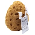 thumbnail image 2 of 2 Pack - Foam Sea Sponge 1 ea, 2 of 5