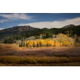 thumbnail image 2 of Jones, Adam 32x23 White Modern Wood Framed Museum Art Print Titled - Autumn view of willows and aspen groves-Grand Teton National Park-Wyoming, 2 of 4
