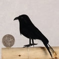 thumbnail image 4 of Farfi Crow Ornaments Eye-catching Delicate Texture Feather Handmade Fake Crow Halloween Decor for Home (Black), 4 of 10