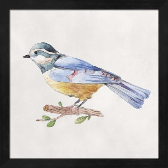 Great Art Now Bird Sketch V by Melissa Wang, Framed Wall Art, 13.25W x 13.25H