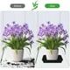 thumbnail image 3 of 12 alfombrillas cuadradas para macetas y platillos para plantas., 3 of 7