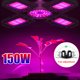 thumbnail image 2 of Luz Led De Crecimiento De Plantas De Cuatro Aspas Luz De Planta De Espectro Azul Rojo Plegable Luz De Crecimiento De Plantas De Aluminio Ajustable Para Interiores Con Portalámparas E27 seitruly HA027783-02, 2 of 5