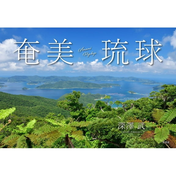 Amami Ryukyu (Paperback)
