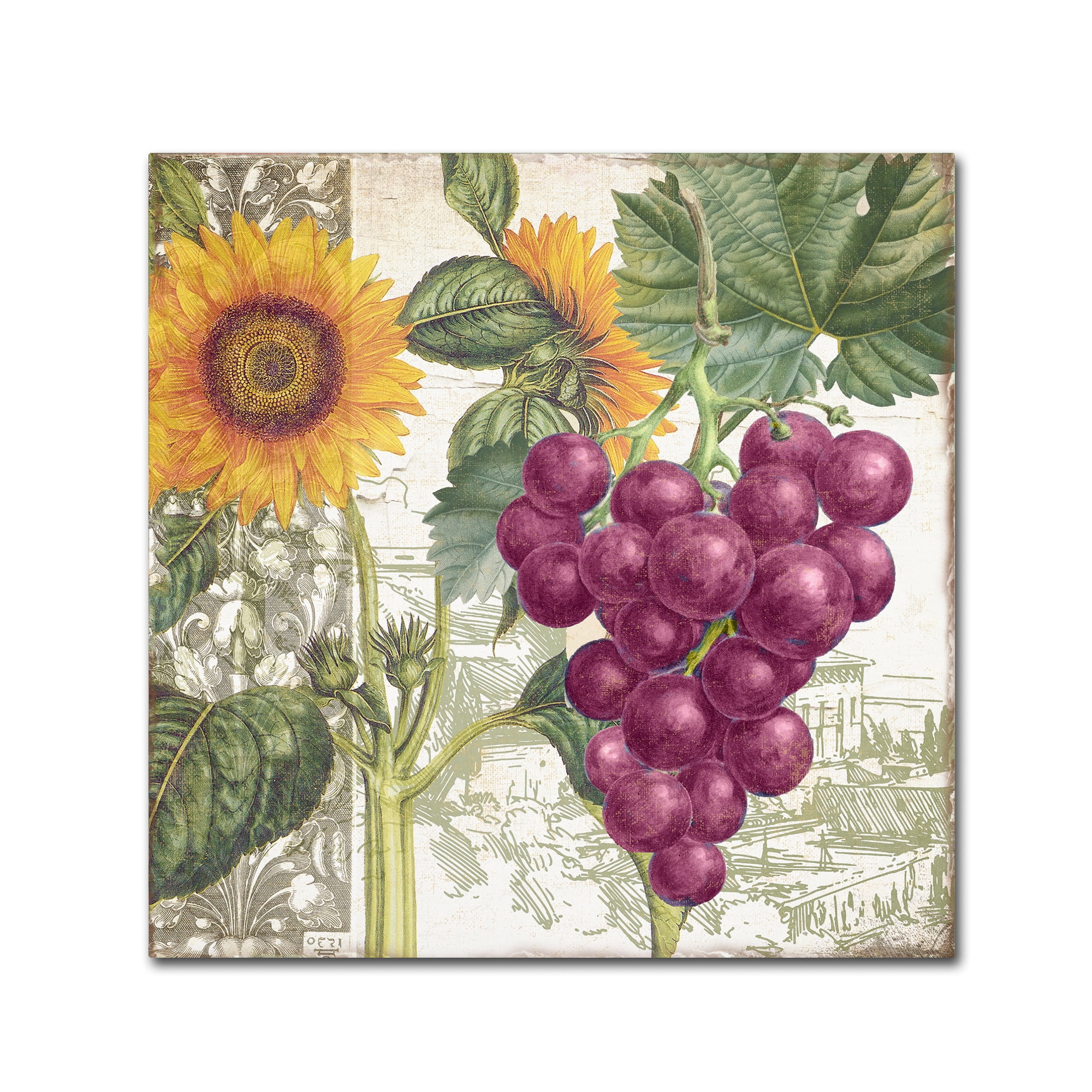 Trademark Fine Art "Dolcetto II" Canvas Art by Color Bakery