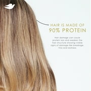 Dove Shampoo & Conditioner Set for Women Bond Strength with Peptide Complex, 12 Fl oz 2 Count Squeeze Bottles
