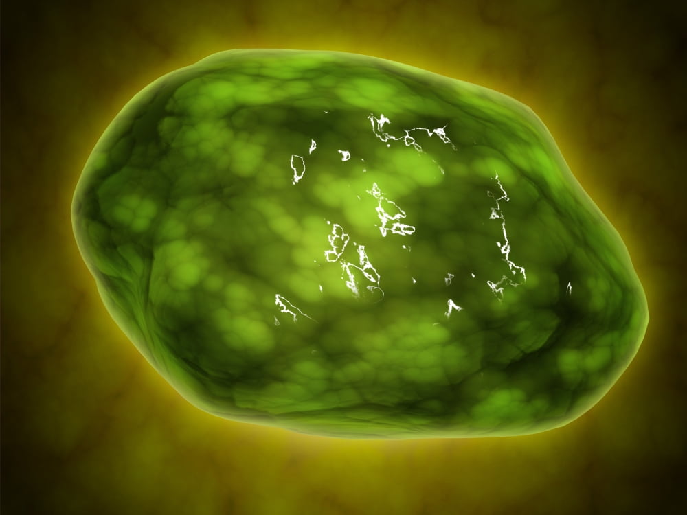 Conceptual image of lysosome. Lysosomes are cellular organelles that