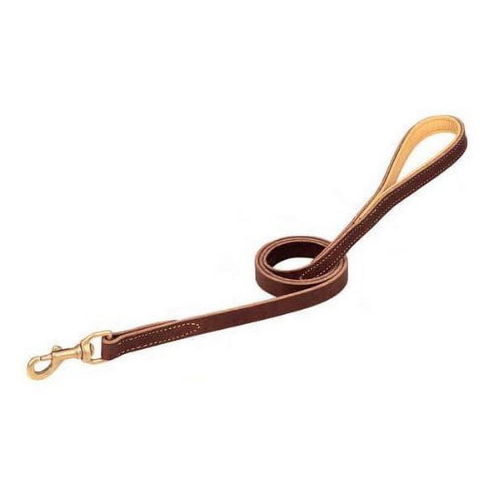 Weaver Leather Deer Ridge Dog Leash - Deerskin Lined Sunset Harness Leather with Solid Brass Hardware 5/8" x 6'