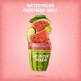 thumbnail image 2 of Wonder Melon Organic Watermelon Juice, Cold Pressed, Variety 6 Pack 3 Watermelon with Basil Cucumber & 3 Watermelon with Lemon Cayenne, 2 of 6