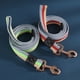 thumbnail image 5 of Correa de entrenamiento para perros de 2 m de largo, correa para mascotas, correa de nailon antideslizante de goma para caminar, correas de trabajo para perros pequeños, medianos, grandes y grandes, 5 of 5