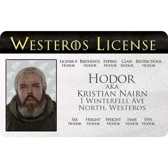 Signs 4 Fun Parody ID / GoT - Permis de Conduire / Fausse Carte d'Identité / Carte de Collection / Cadeau de Nouveauté pour les Fêtes / Fabriqué aux États-Unis