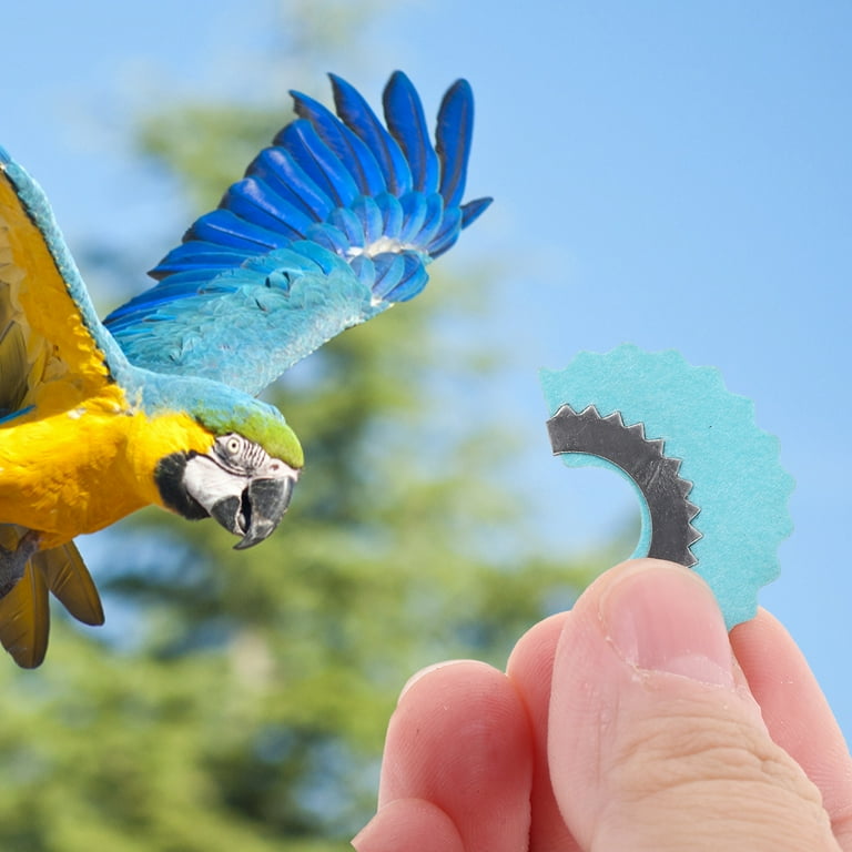 Pet Birds Call Blue Parrot Pcs Red Pink) Bird Call Whistle Toy Birds