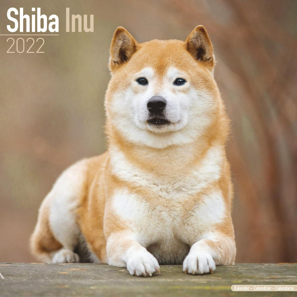 Shiba Inu Calendar 2022 - Shiba Inu Dog Breed Calendar - Shiba Inus Shiba Inu Calendar 2022 - Shiba Inu Dog Breed Calendar - Shiba Inus