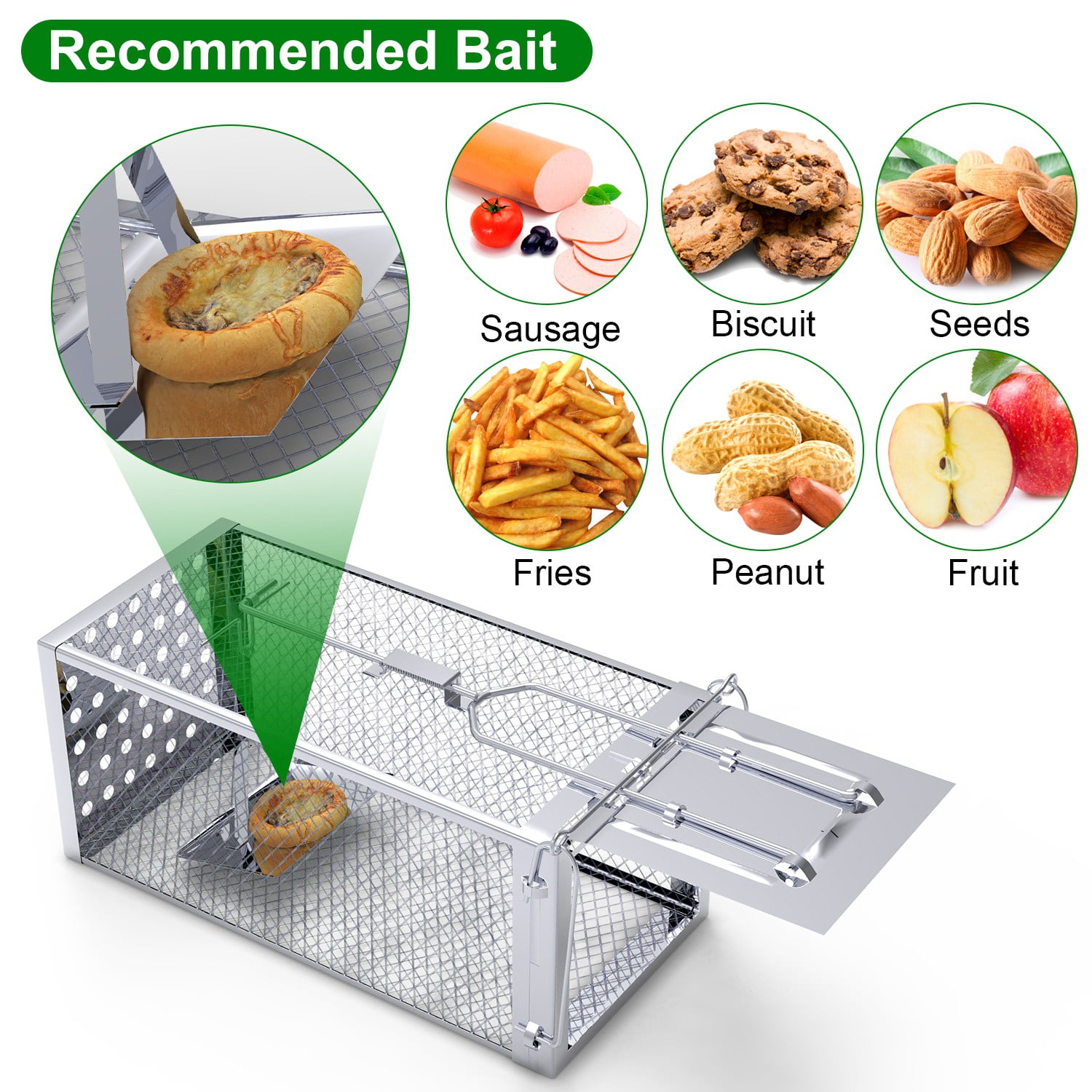 TeqHome Humane Mouse Traps, 11.8" Single Door Rat Trap Cage for Small Rodents Mice Voles Reusable Easy to Set Mice Catcher for Indoor Outdoor
