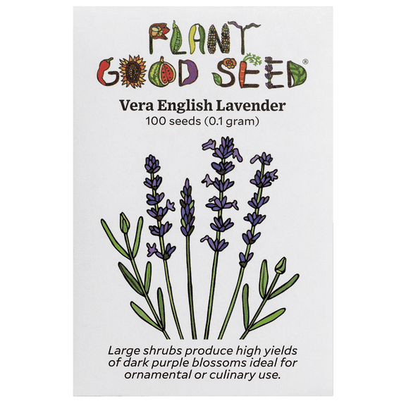 Plant Good Seed Vera English Lavender Seeds for Planting - 100 Count - Purple Flowers, Heirloom Culinary Herb
