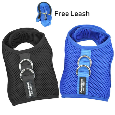 Downtown Pet Supply Best Cat Vest Harness and Leash Combo with Added Safety Features to Make it Escape Proof for Small, Medium, Large Cats and Small Dogs/Puppy (Available in Blue and (Best Cat Harness And Leash)