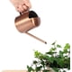thumbnail image 1 of Regadera sólida de 300ML, regadera pequeña de acero inoxidable, regadera de pico largo para plantas y flores para uso doméstico JM, 1 of 5