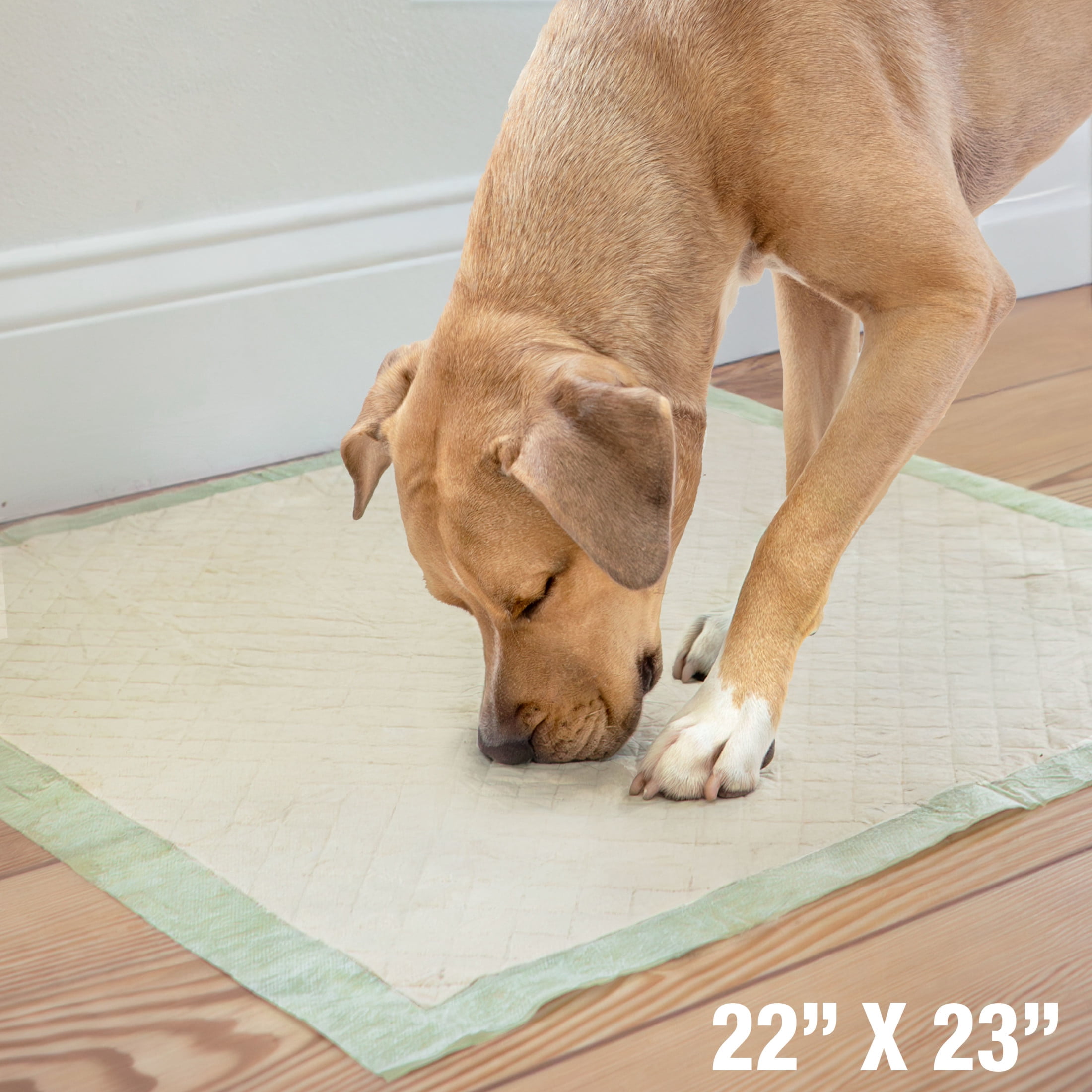 Four Paws Wee-Wee Superior Performance Eco Bamboo Dog Pee Pads 22" x 23" (100 Count)