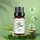 thumbnail image 3 of Aceite esencial Alivia la fatiga Aceite de aromaterapia 10 ml una esencia, 3 of 5